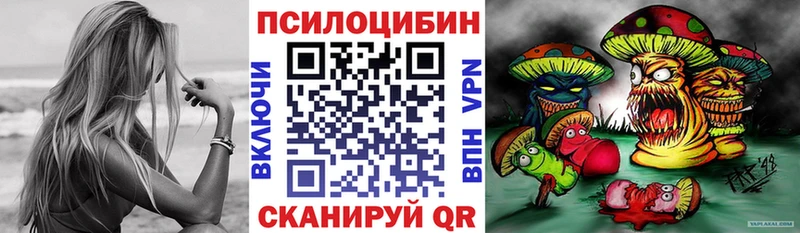 Купить где  Вытегра  Псилоцибиновые грибы мицелий 